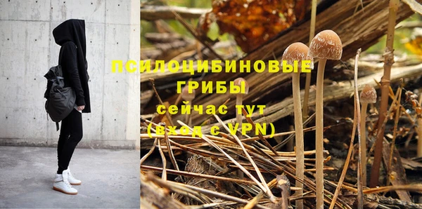 метамфетамин Покачи