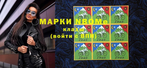 прущие грибы Заводоуковск