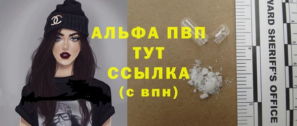 прущие грибы Заводоуковск