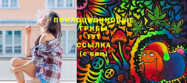 прущие грибы Заводоуковск