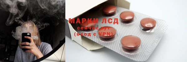 прущие грибы Елабуга
