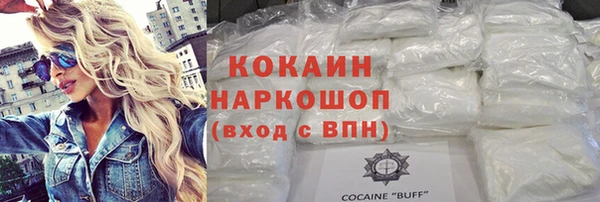 прущие грибы Заводоуковск