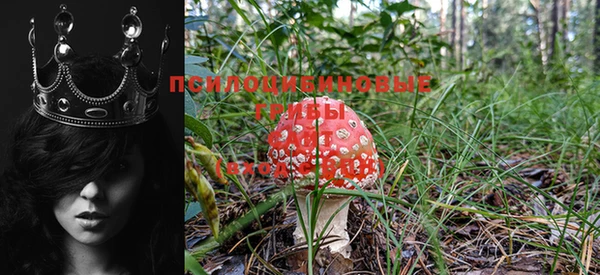 MESCALINE Липки