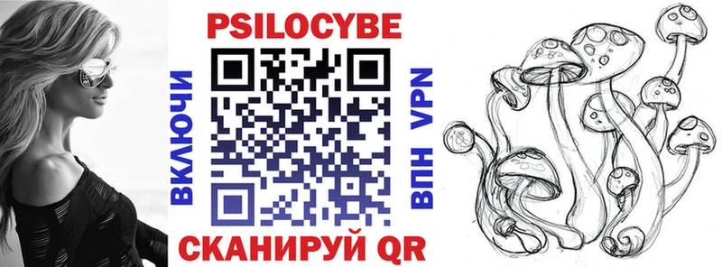 omg маркетплейс  Соль-Илецк  Галлюциногенные грибы Psilocybine cubensis  где продают  