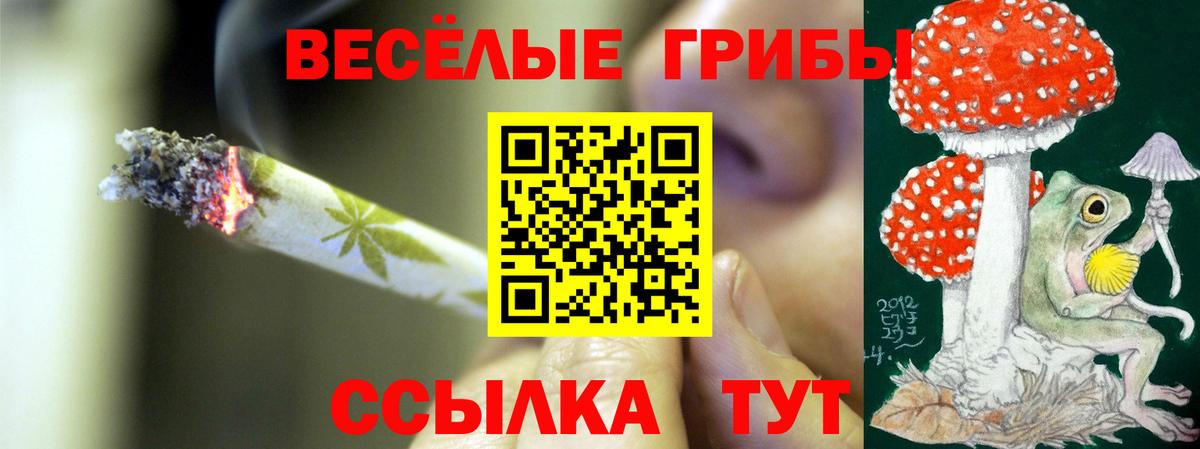 Соль-Илецк  Псилоцибиновые грибы Cubensis  Вход с VPN  Псилоцибиновые грибы мицелий 